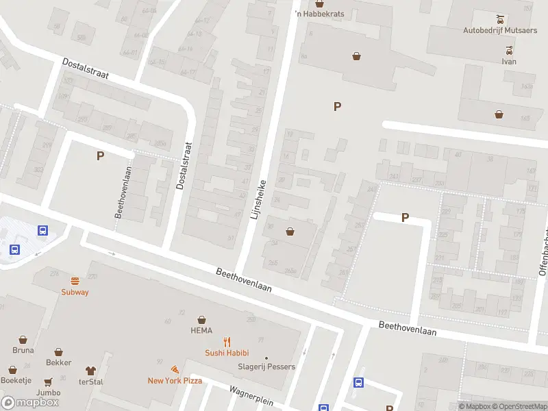 Overlastmelding Beethovenlaan in Tilburg