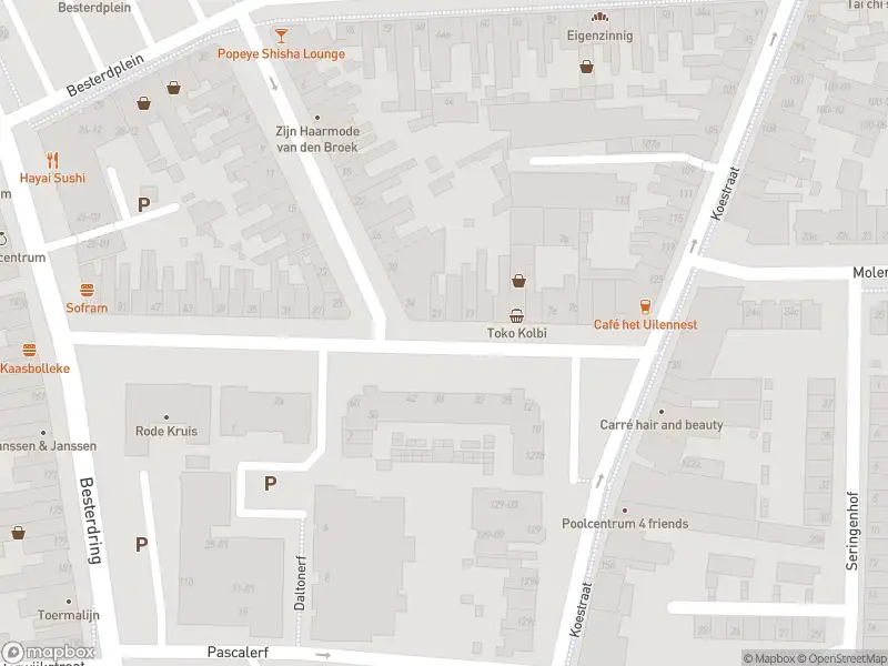 Overlastmelding Leonard van Vechelstraat in Tilburg (Noord-Brabant) gesloten