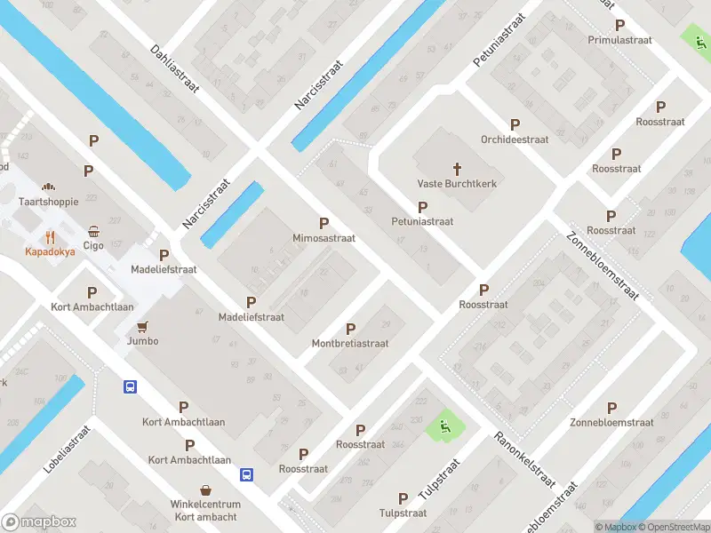 Overlastmelding Mimosastraat in Zwijndrecht