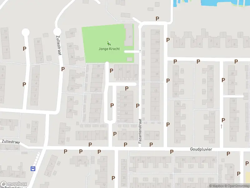 Overlastmelding Goudpluvier in Landsmeer gesloten