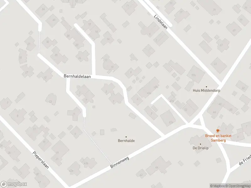 Overlastmelding Bernhaldelaan in Ellecom