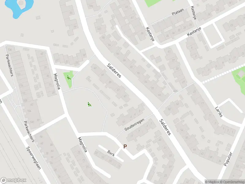 112 melding Overlastmelding Salderes in Best