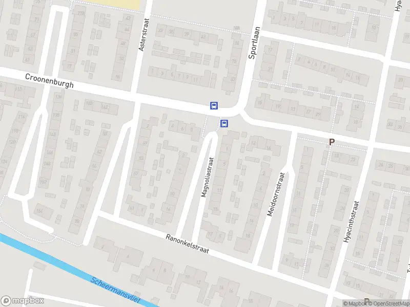 Overlastmelding Magnoliastraat in Oud-Beijerland