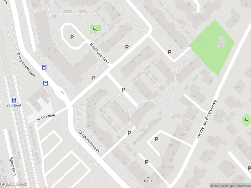 Overlastmelding Brahmsstraat in Voorhout