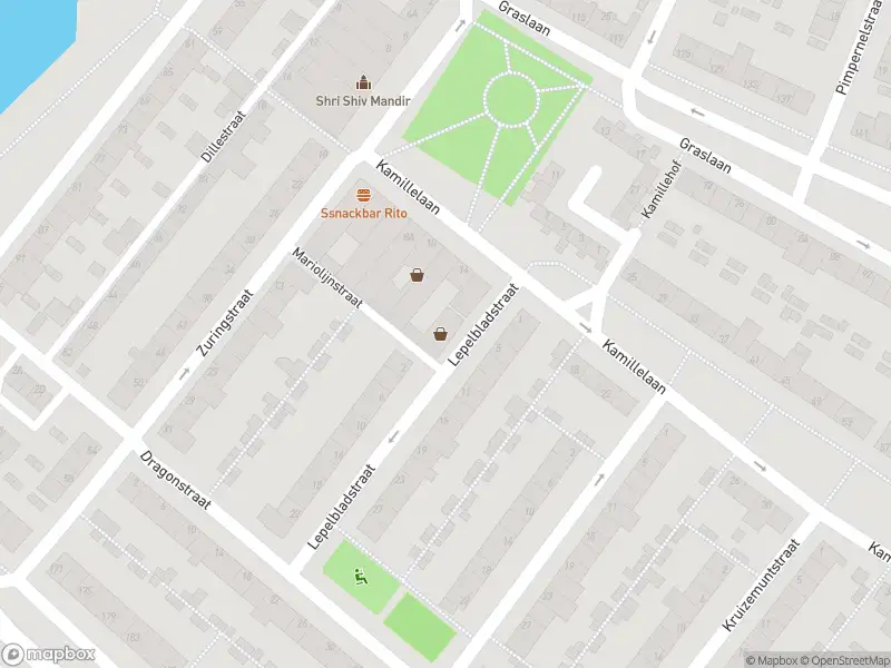 Overlastmelding Lepelbladstraat in Arnhem