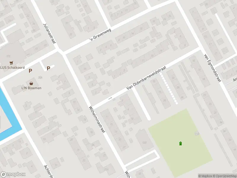 Ambulance met grote spoed naar de Van Oldenbarneveldstraat in Nieuw-Beijerland