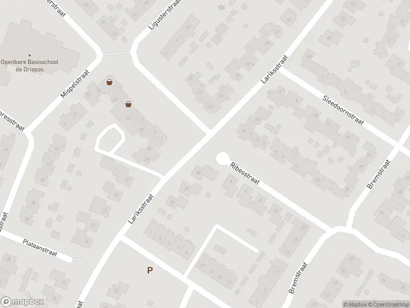 Overlastmelding Lariksstraat in Echt (6101 KE) gesloten