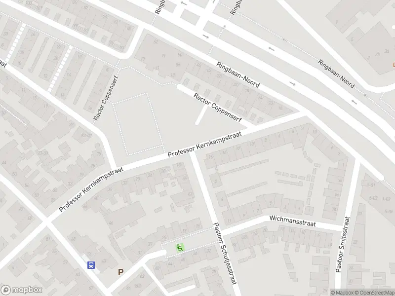 Overlastmelding Professor Kernkampstraat in Tilburg