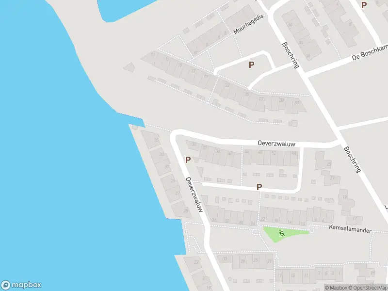 Overlastmelding Oeverzwaluw in Goirle