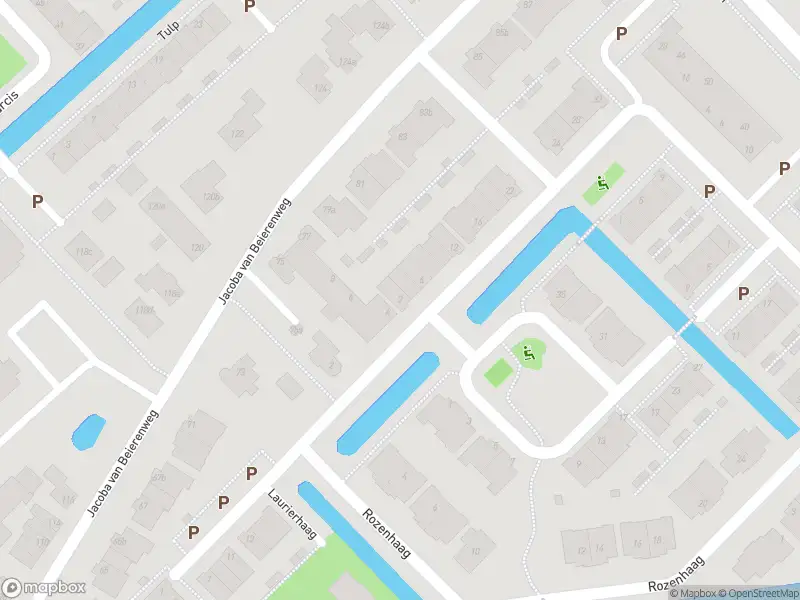 Anonieme overlastmelding Taxushaag in Voorhout