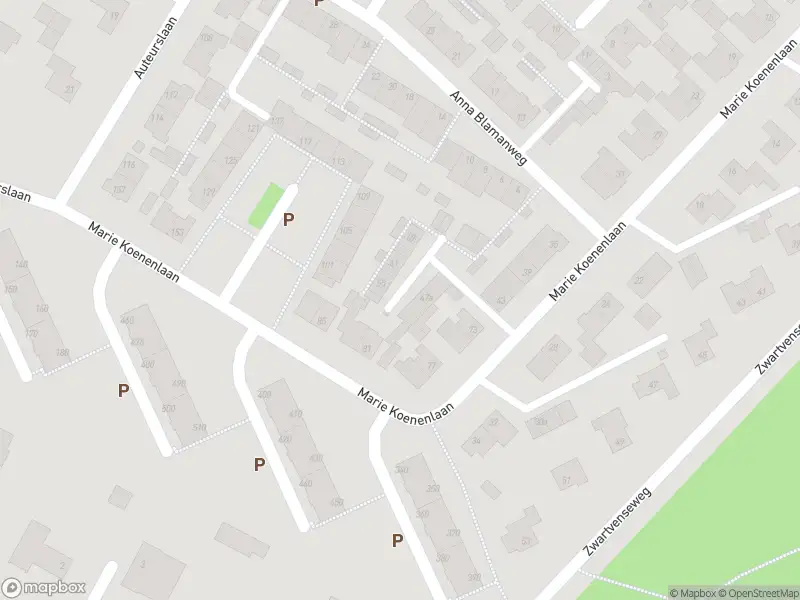 Overlastmelding Marie Koenenlaan in Tilburg gesloten