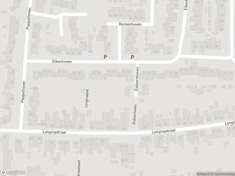 Politie naar de Severenplein in Maastricht vanwege aanrijding met letsel