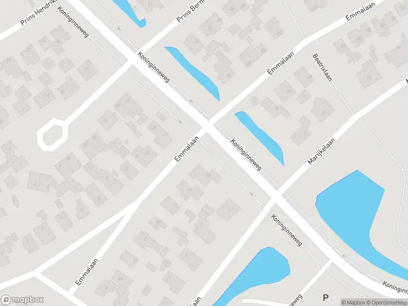 Overlastmelding Koninginneweg in Bergen gesloten