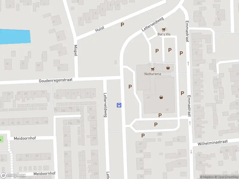 Brandweer met grote spoed naar de Vuurdoornstraat in Borne vanwege afhijsen patient