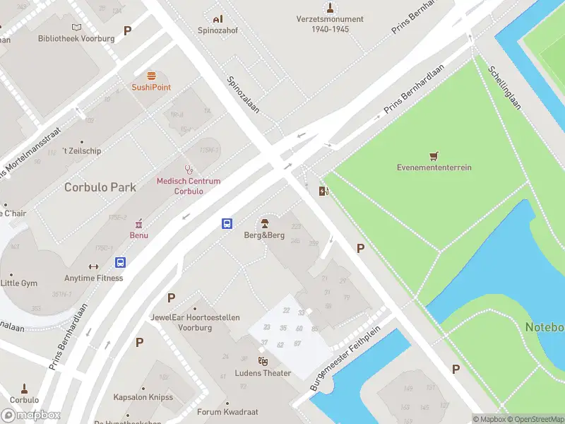 Brandweer met grote spoed naar de Prinses Margrietlaan in Voorburg vanwege afgaan automatisch brandalarm