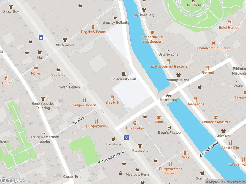 Politie naar de Stadhuisplein in Leiden