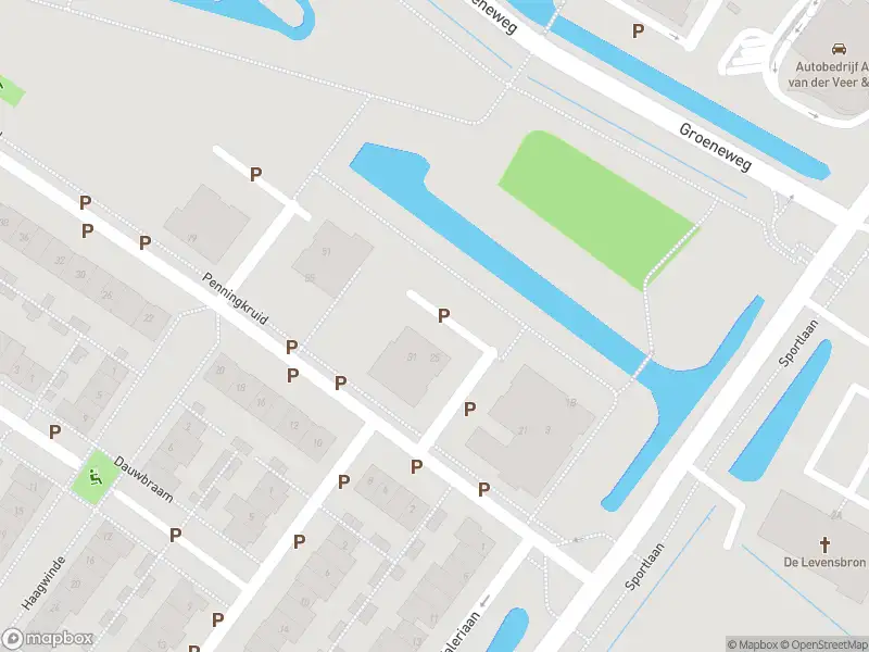 Overlastmelding Penningkruid in Puttershoek