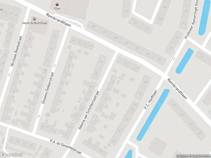 Overlastmelding Adama van Scheltemastraat in Sliedrecht