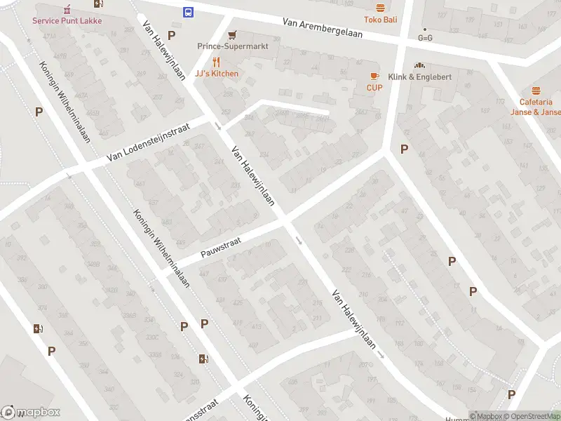 Ambulance met grote spoed naar de Koningin Wilhelminalaan in Voorburg