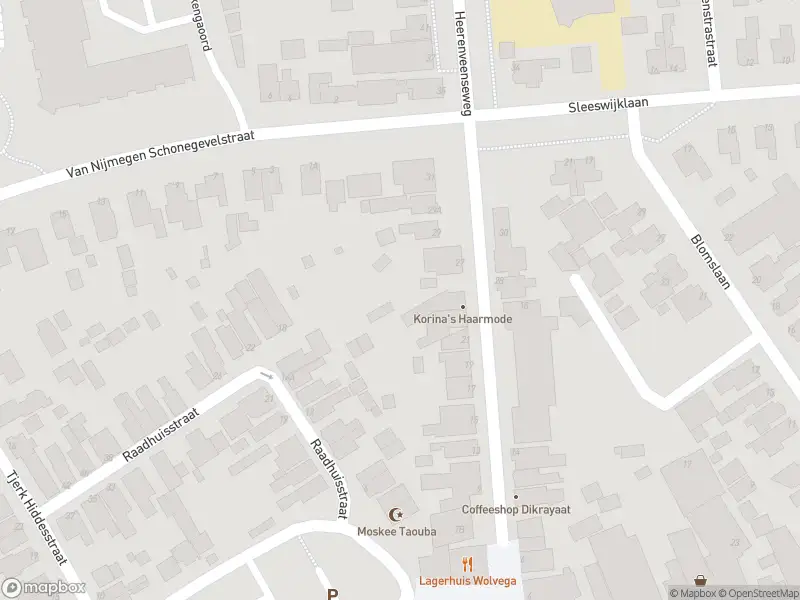 Brandweer met grote spoed naar de Dr. Schaepmanstraat in Wolvega vanwege gebouwbrand