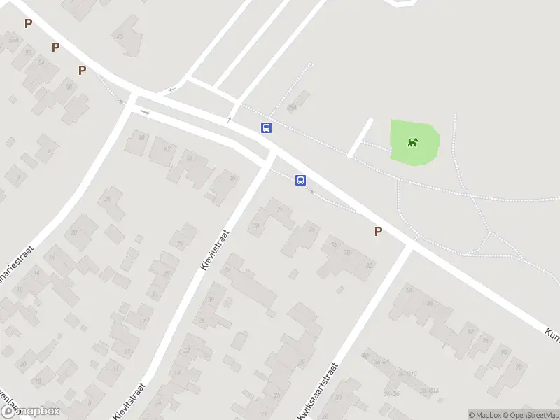 112 melding Overlastmelding Kummenaedestraat in Geleen gesloten