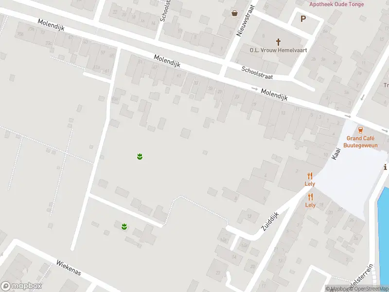 Overlastmelding met urgentie Haarlemmerstraat in Oude-Tonge