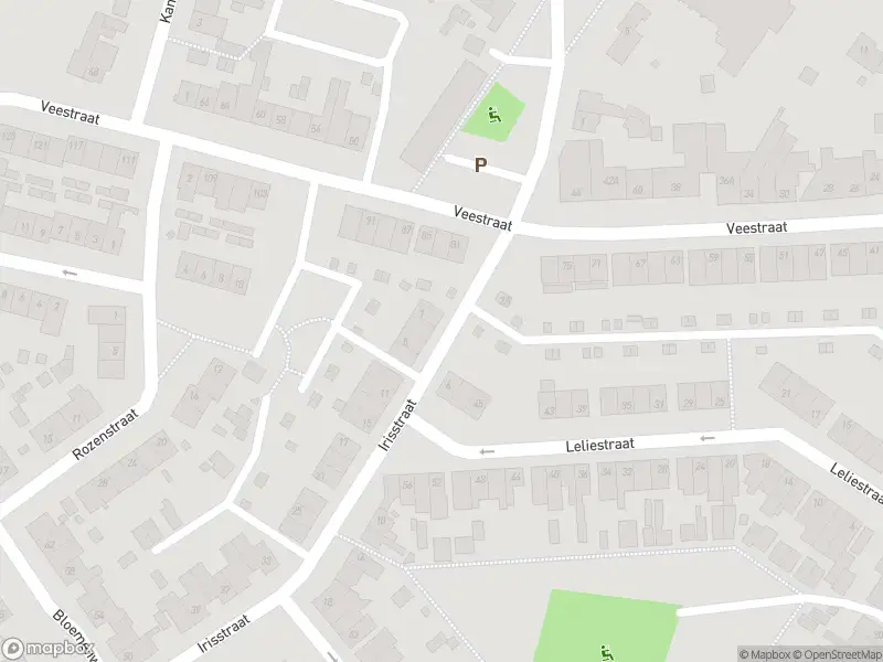 Overlastmelding Anjelierstraat in Sittard