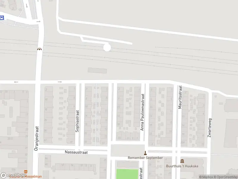 Overlastmelding Anna Paulownastraat in Arnhem