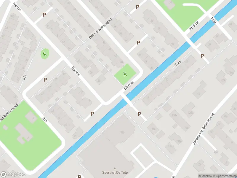 Anonieme overlastmelding Narcis in Voorhout gesloten