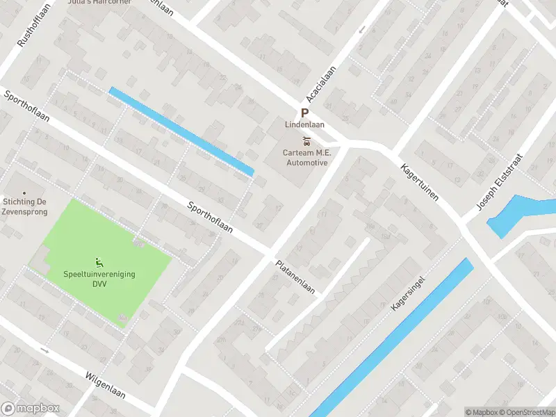 Overlastmelding Platanenlaan in Sassenheim