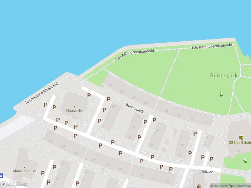 Ambulance met gepaste spoed naar de Buizenpark in Rotterdam