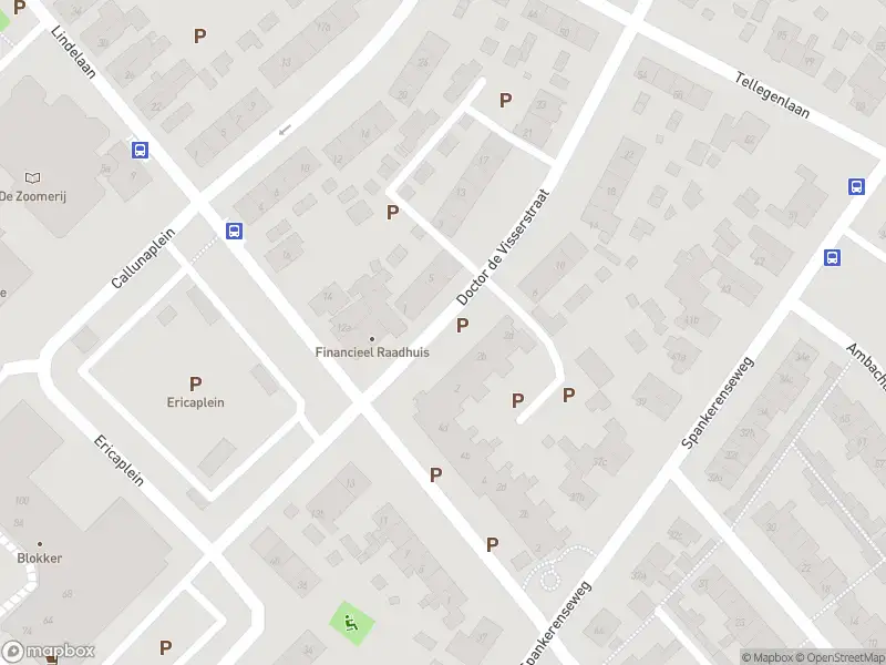 Overlastmelding Doctor de Visserstraat in Dieren