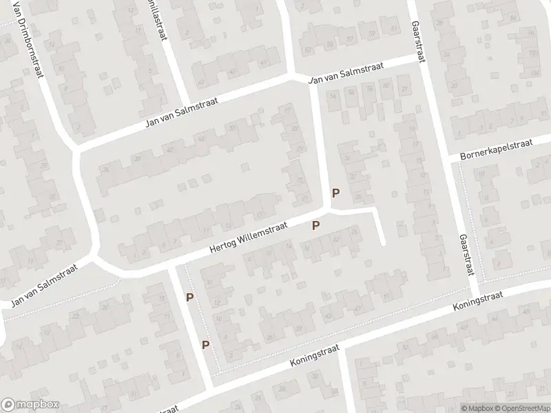 Overlastmelding Koningstraat in 6121HT Born gesloten