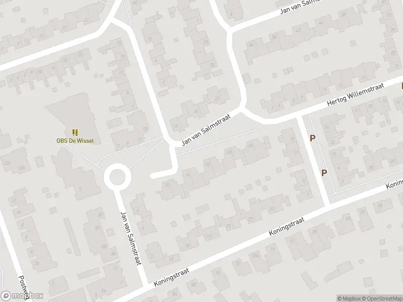 112 melding Overlastmelding Jan van Salmstraat in Born gesloten