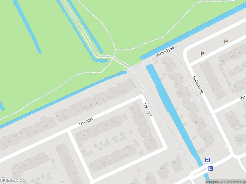 Overlastmelding IJsvogel in Maarssen