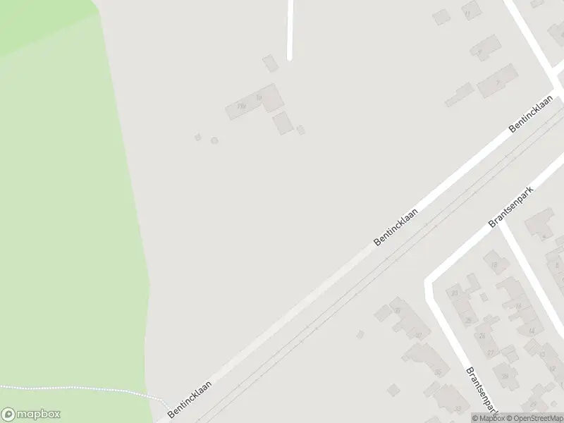 Brandweer met gepaste spoed naar de Van Aldenburglaan in De Steeg