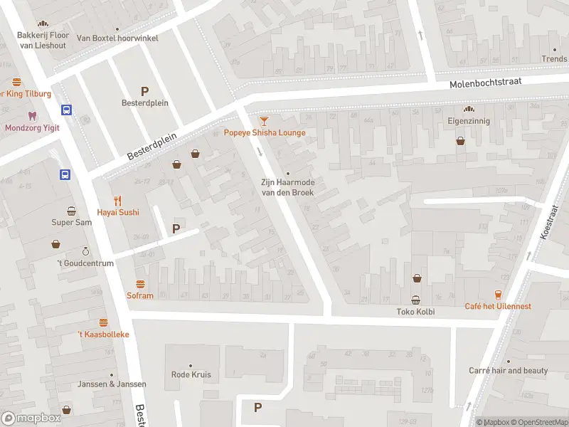 Overlastmelding Nicolaas Pieckstraat in Tilburg