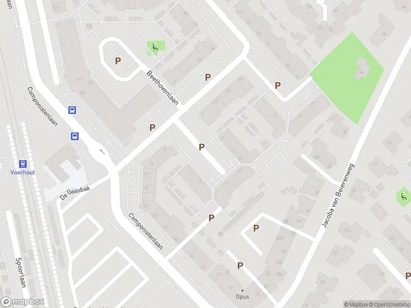 Overlastmelding Brahmsstraat in Voorhout
