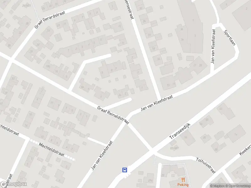 Overlastmelding Graaf Reinaldstraat in Lobith