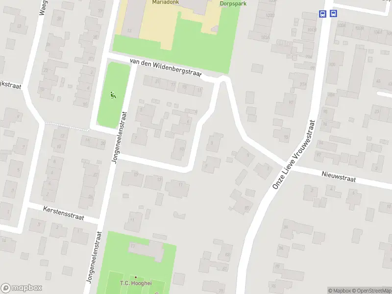 Overlastmelding Verdiesenstraat in Zegge