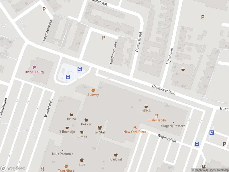 Overlastmelding Beethovenlaan in Tilburg