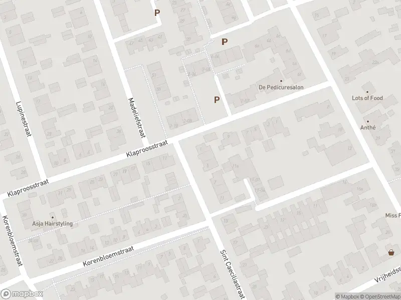 112 melding Overlastmelding Sint Caeciliastraat in Berkel-Enschot gesloten