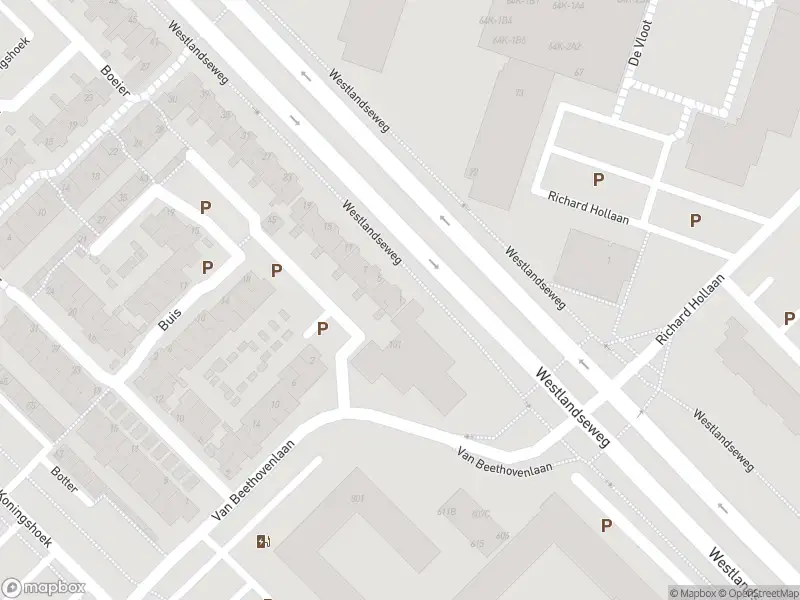 112 melding Overlastmelding Drijver in Maassluis