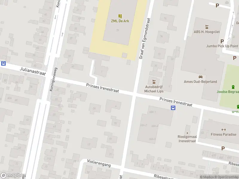 Overlastmelding Prinses Irenestraat in Oud-Beijerland