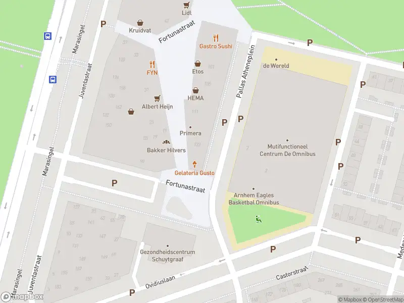 Overlastmelding Pallas Atheneplein in Arnhem