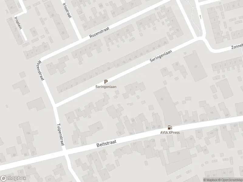 Overlastmelding Seringenlaan in Hippolytushoef