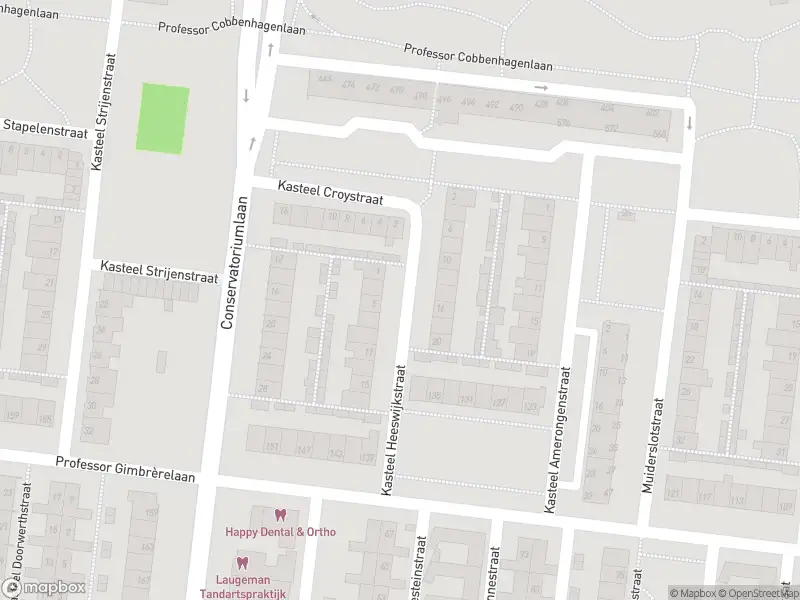 Overlastmelding Kasteel Strijenstraat in 5037HP Tilburg