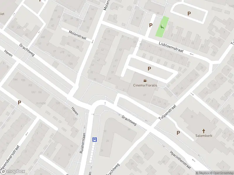 112 melding Anonieme overlastmelding Molenstraat in Lisse