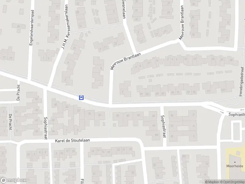 Overlastmelding Mevrouw Brantlaan in Waalre