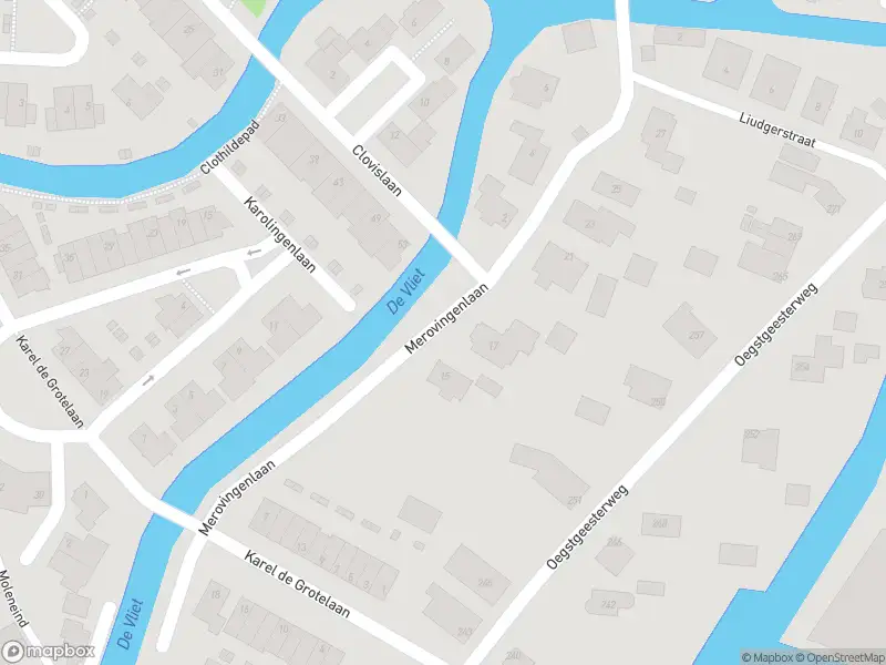 Overlastmelding Merovingenlaan in Rijnsburg